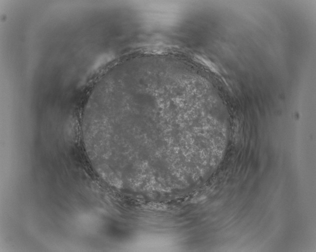 X0000088461446200706121452