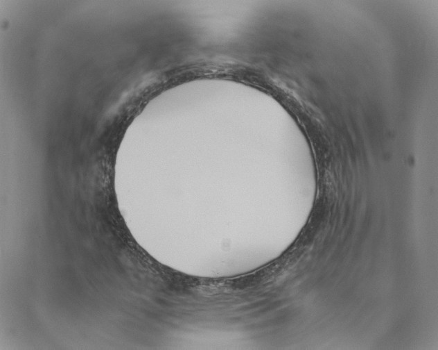 X0000088461447200706121452