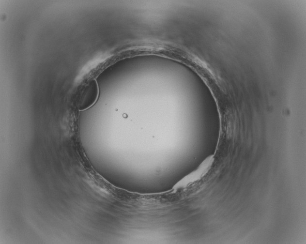 X0000088461448200706121452