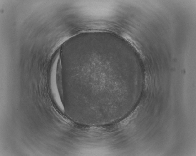 X0000088461449200706121452