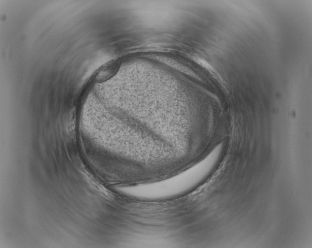 X0000088461450200706121452