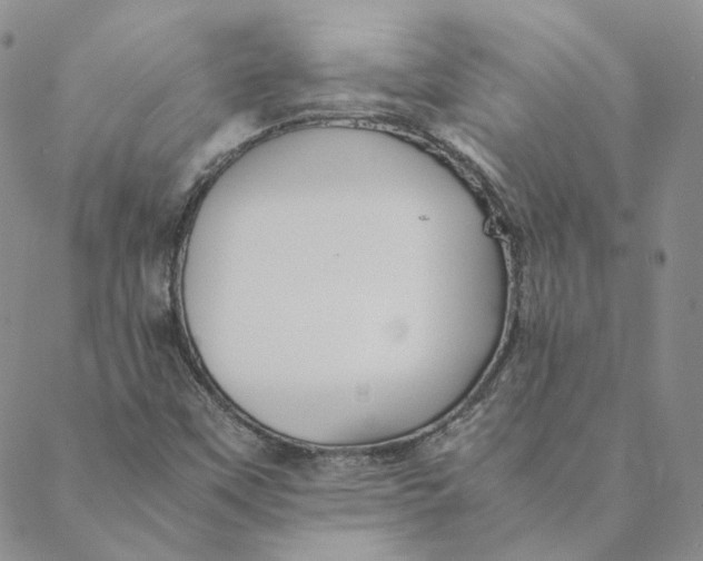 X0000088461451200706121452