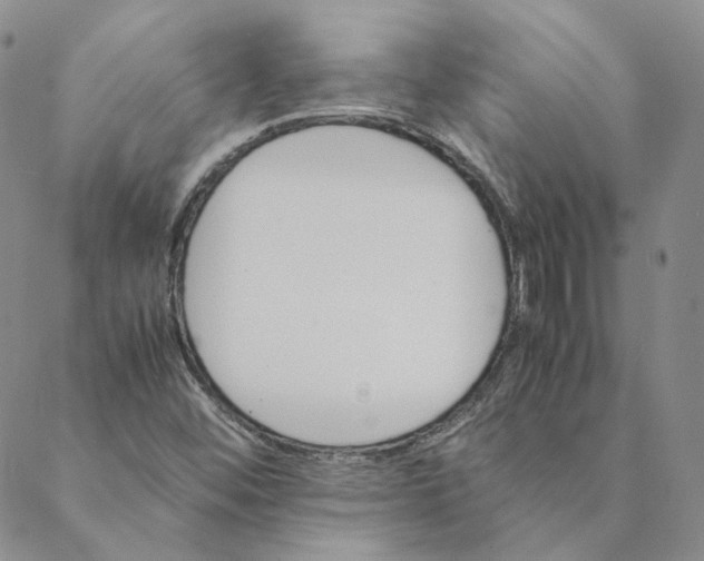 X0000088461452200706121452