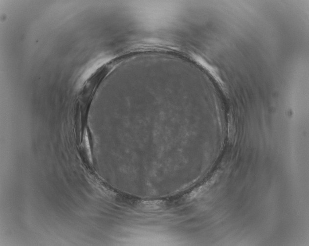 X0000088461453200706121452