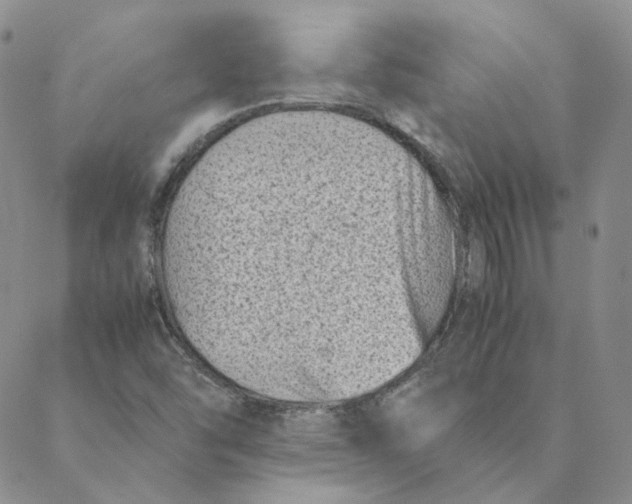 X0000088461454200706121452