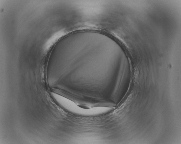 X0000088461455200706121452