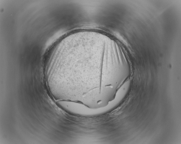 X0000088461456200706121452