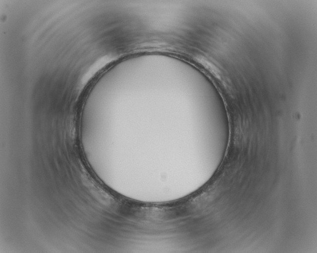 X0000088461458200706121452