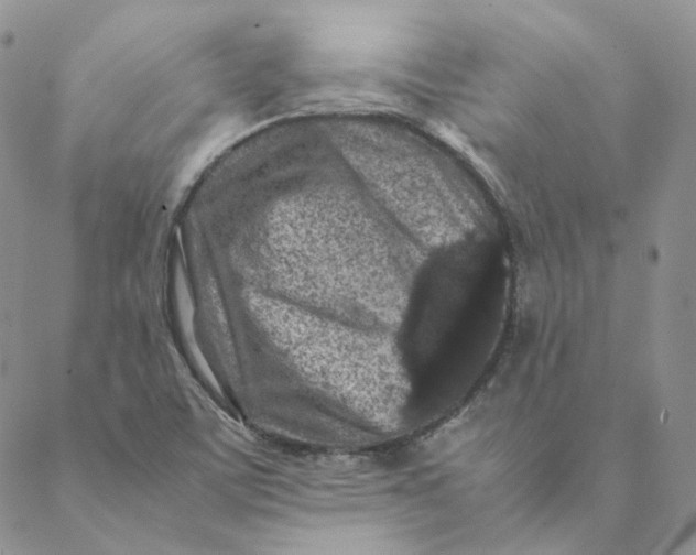 X0000088461459200706121452