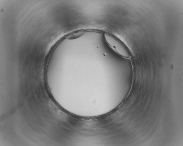 X0000088461460200706121452