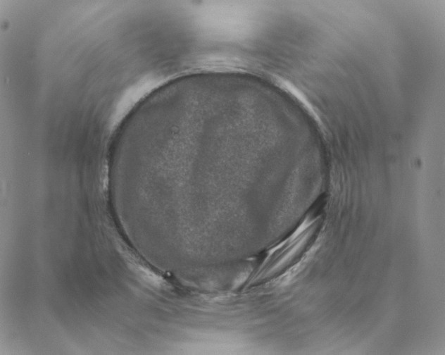 X0000088461461200706121452