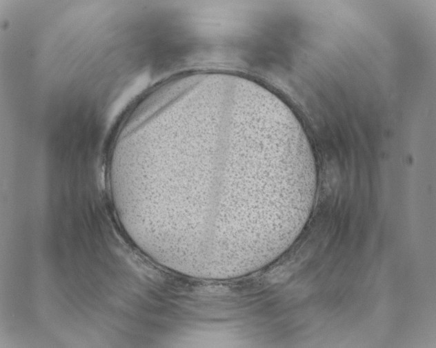 X0000088461462200706121452