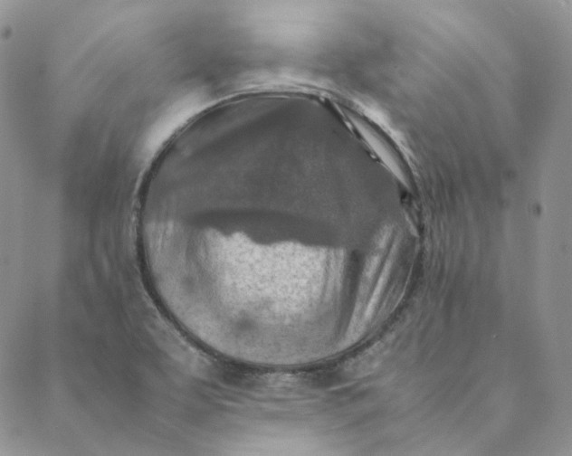 X0000088461463200706121452