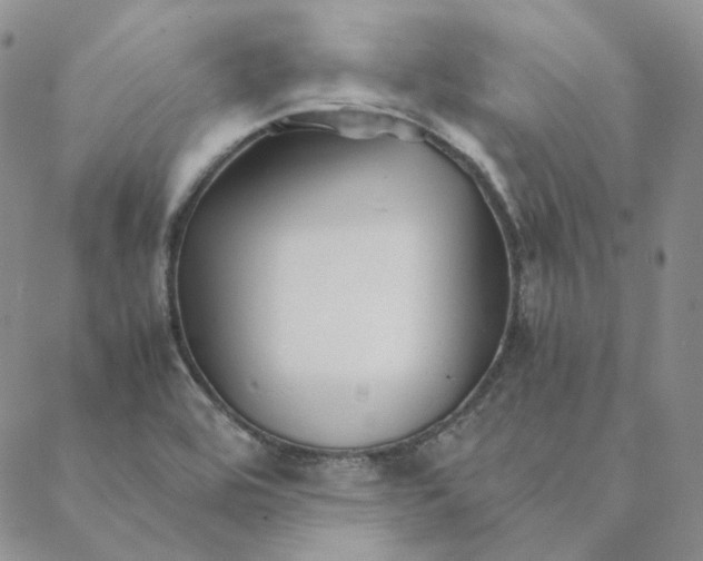 X0000088461464200706121452