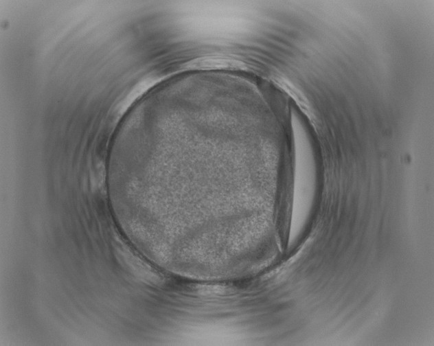 X0000088461465200706121452