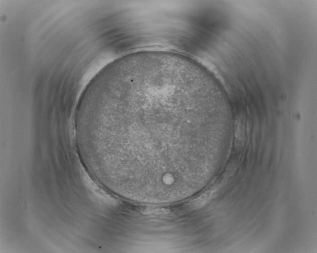 X0000088461466200706121452