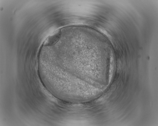 X0000088461467200706121452