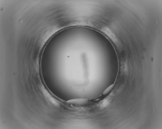 X0000088461468200706121452