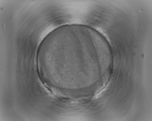 X0000088461469200706121452