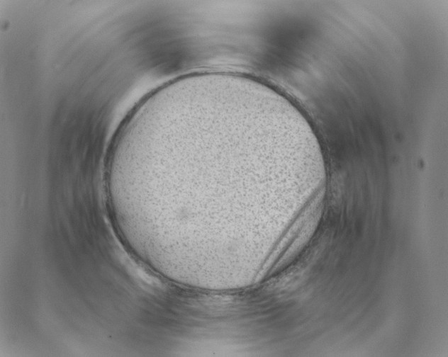 X0000088461470200706121452