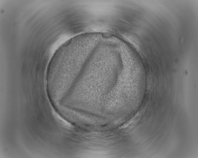 X0000088461471200706121452