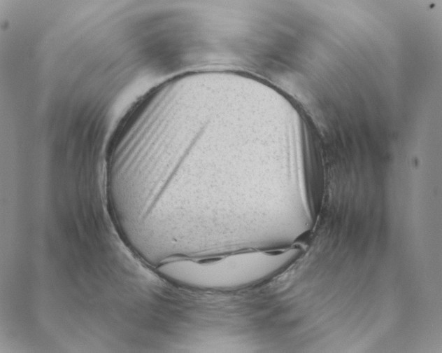 X0000088461472200706121452