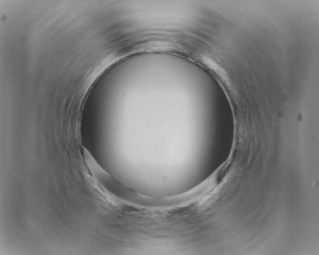 X0000088461473200706121452