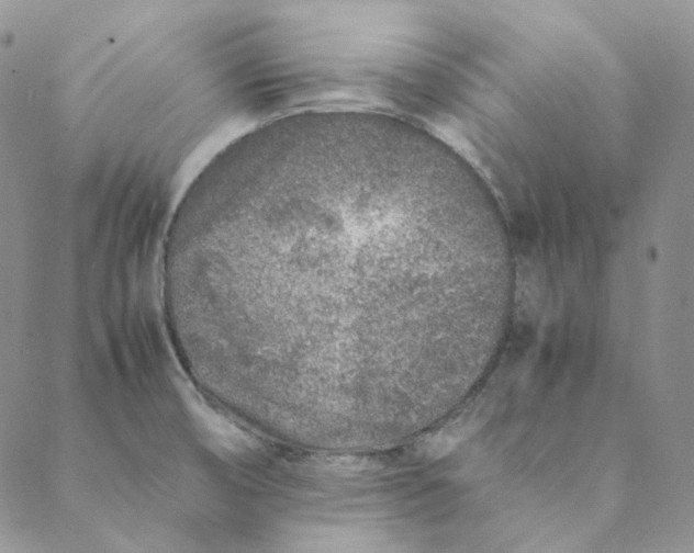 X0000088461474200706121452