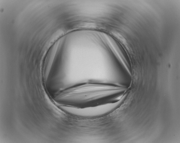 X0000088461475200706121452