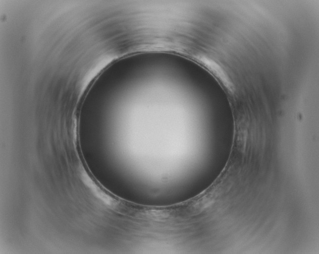 X0000088461476200706121452