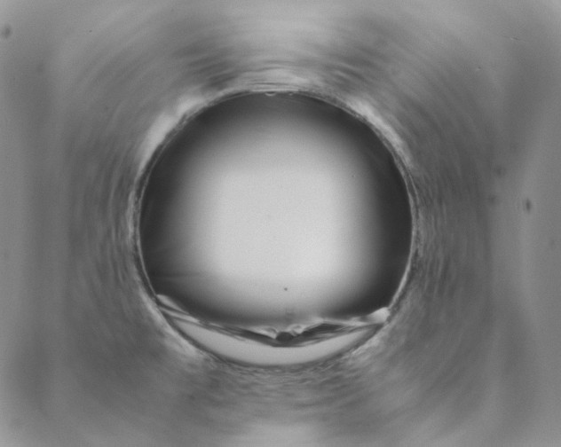 X0000088461477200706121452