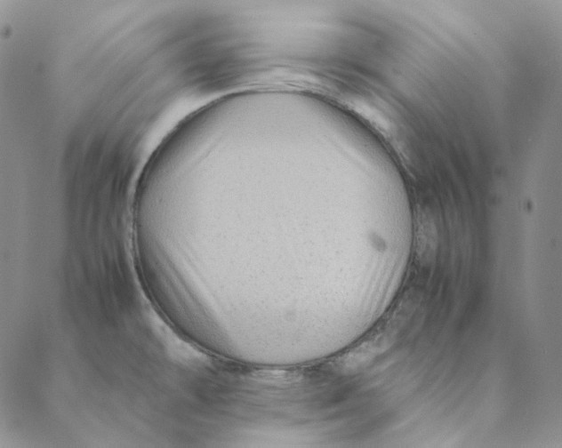 X0000088461478200706121452