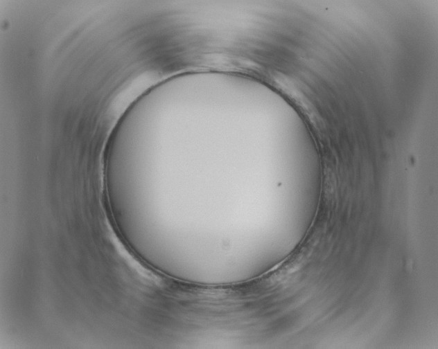 X0000088461479200706121452