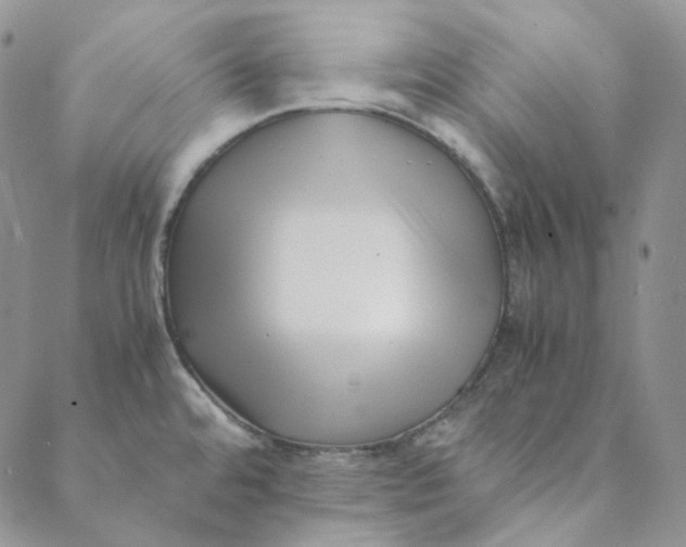 X0000088461480200706121452