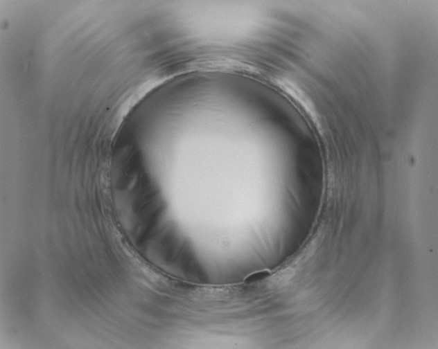 X0000088461481200706121452