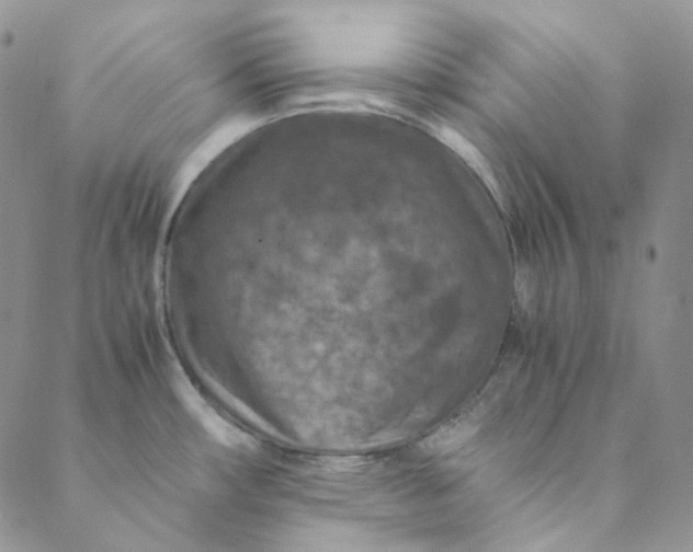 X0000088461482200706121452