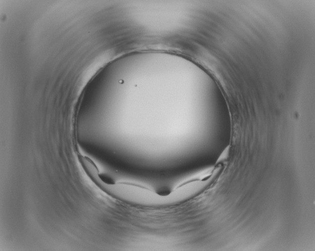 X0000088461483200706121452