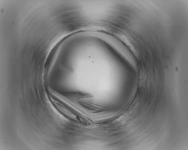 X0000088461484200706121452