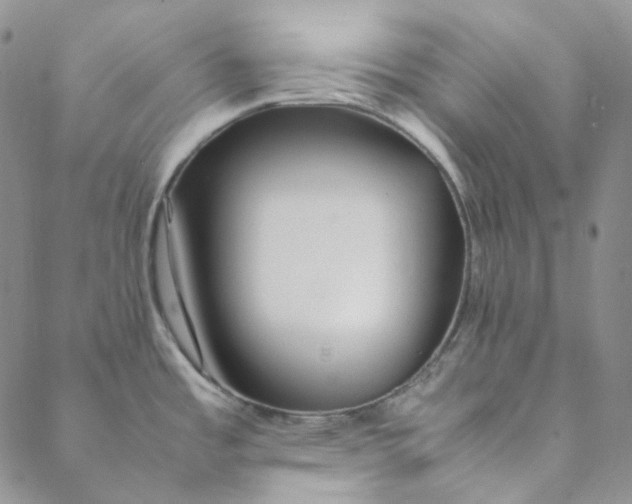 X0000088461485200706121452