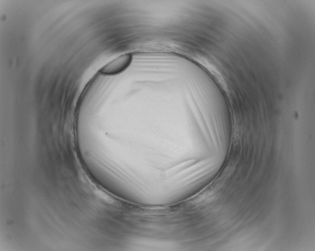 X0000088461486200706121452