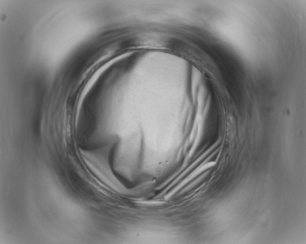 X0000088461487200706121452