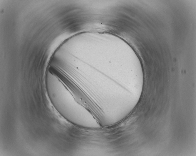 X0000088461488200706121452