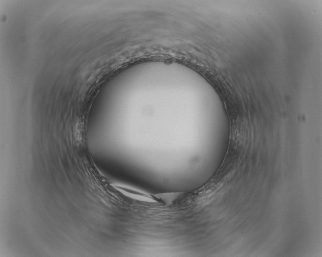 X0000088461490200706121451