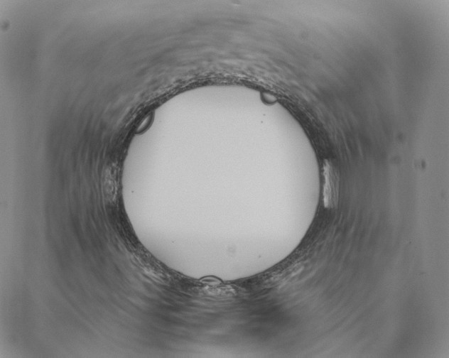 X0000088461491200706121451