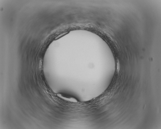 X0000088461492200706121451