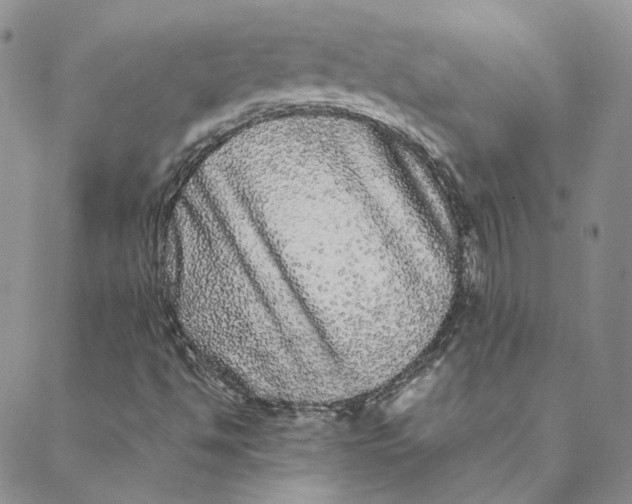 X0000088461494200706121451