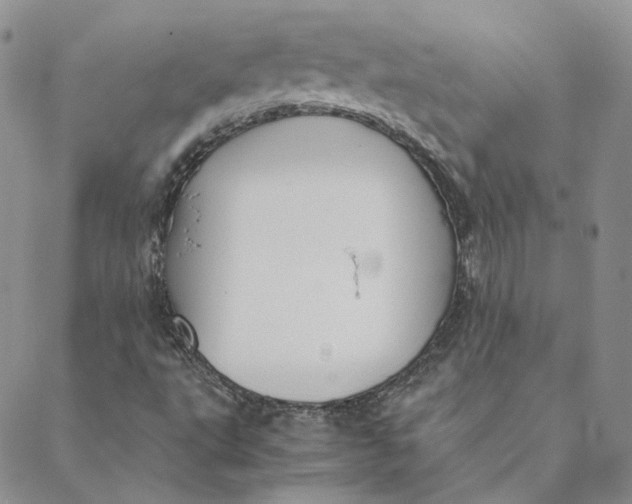 X0000088461495200706121451