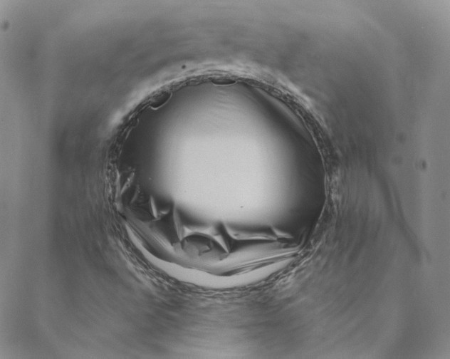 X0000088461496200706121451