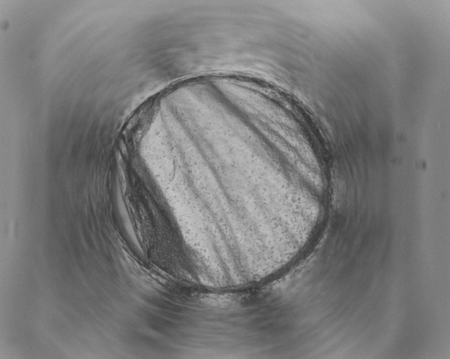 X0000088461497200706121451