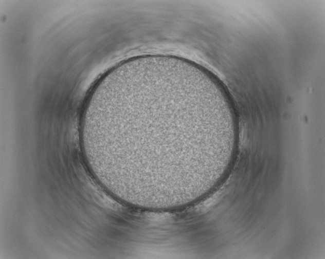 X0000088461498200706121451